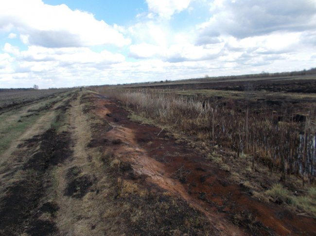 У Ковельському районі горіли торфовища. ФОТО