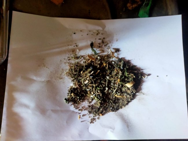 Лучанин через Telegram поширював «закладки»