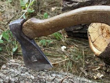 Волинянин заплатить понад 83 тисяч за те, що незаконно зрубав дерева у лісі