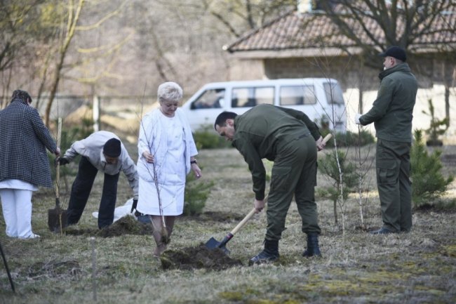 Біля лікарні у Боголюбах посадили парк для реабілітації українських воїнів. ФОТО