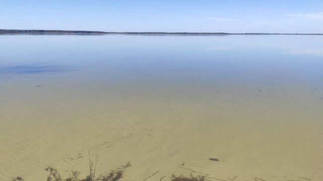 Чи надовго піднявся рівень води у волинському Світязі: що кажуть фахівці. ВІДЕО