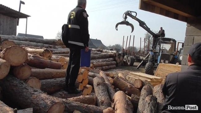 На Волині обшукали підпільні пилорами. ФОТО