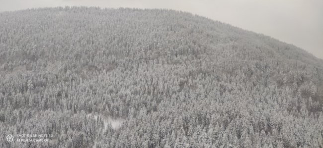 Рятувальники на вертольоті шукають заблукалого у Карпатах тиждень тому лижника