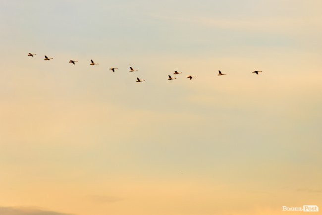 До Винника – навіть на милицях. ФОТОРЕПОРТАЖ із грандіозного концерту у Луцьку
