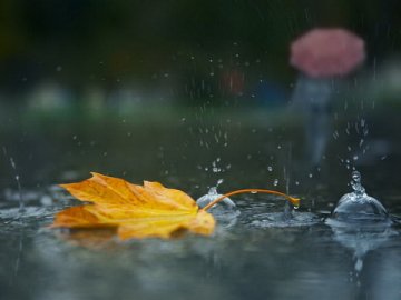 Погода в Луцьку та Волинській області на середу, 2 вересня