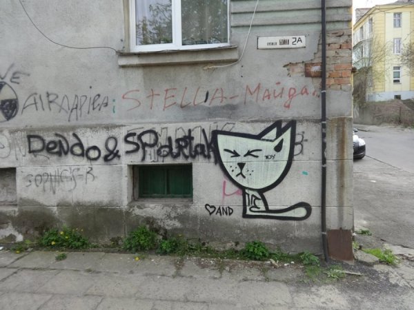 Таких котиків багато подібних, я тільки приклад сфотав