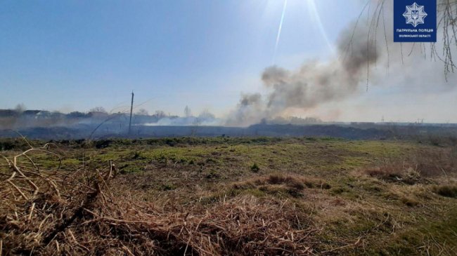 За місяць на Волині патрульні отримали 43 виклики про пожежі в екосистемах 