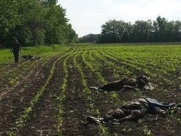  Місце розстрілу солдатів з Волині на Донеччині. ФОТО. ВІДЕО