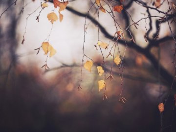 Погода у Луцьку та Волинській області на завтра, 2 листопада