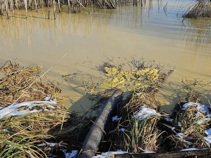 У водойму на Волині зливали невідому речовину, - Держекоінспекція