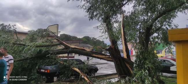 Вікторія Демченко. Автостанція