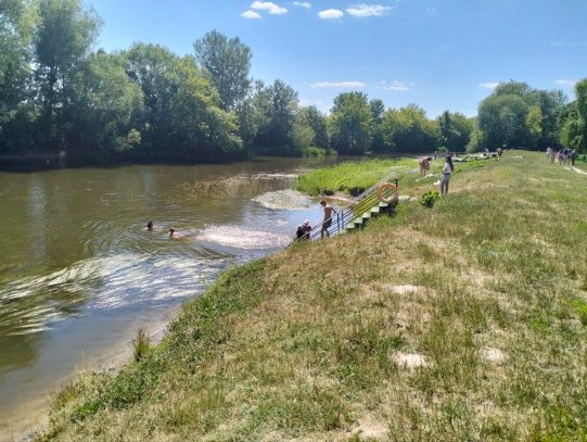 Купальний сезон у Луцьку: чому не почистили річку Стир від водоростей. ВІДЕО