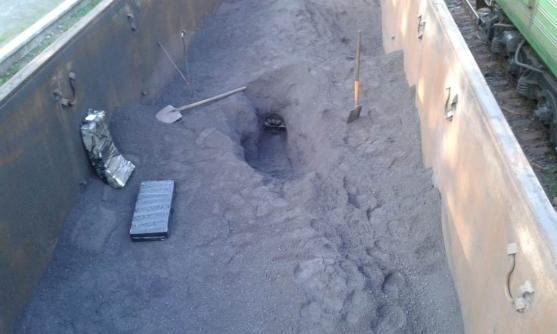 На Волині пес прикордонників винюхав тютюнову контрабанду