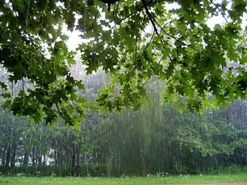 Погода в Луцьку та Волинській області на вихідні, 13 і 14 червня