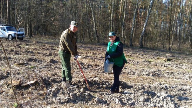 Учасники АТО посадили новий ліс на Волині