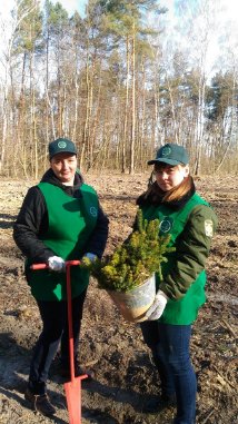 Учасники АТО посадили новий ліс на Волині