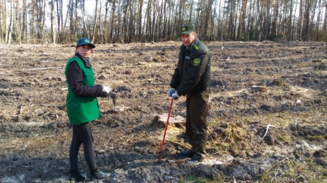 Учасники АТО посадили новий ліс на Волині
