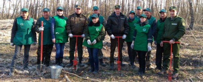 Учасники АТО посадили новий ліс на Волині
