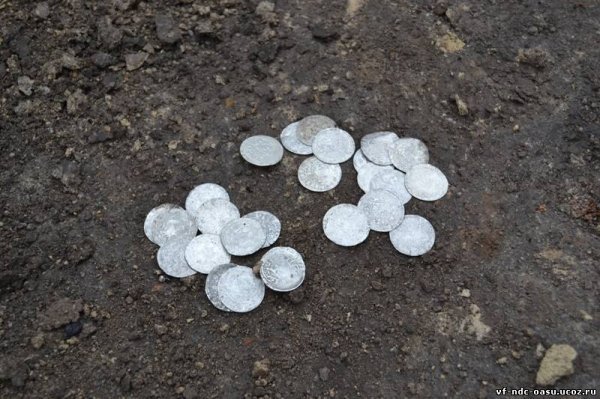 Біля Луцька знайшли 600-річний скарб