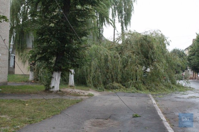 У Нововолинську вітер повалив дерева та познімав шифер із дахів