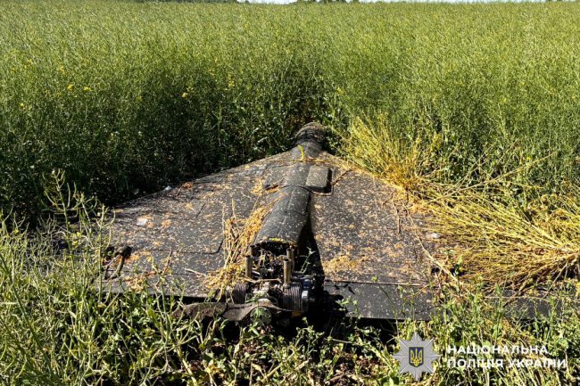 На Рівненщині сили ППО приземлили російський «Shahed». ФОТО, ВІДЕО
