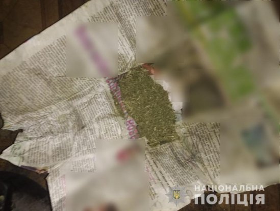 Волинські поліцейські під час обшуків у будинках двох чоловіків знайшли наркотики і боєприпаси