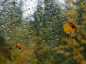 У західних областях України прогнозують похолодання