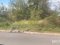 Велосипедист – в реанімації: у Нововолинську біля автостанції трапилась аварія