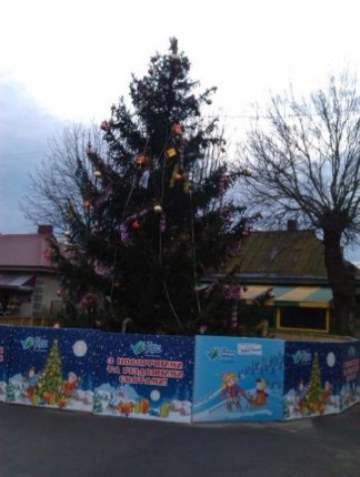 Ціна краси: головні новорічні ялинки Волині