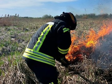 У Луцькому районі на дачному масиві горіла трава: місцева жителька підпалила сміття і залишила багаття