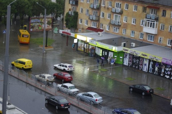 Фото Петра Кульпача