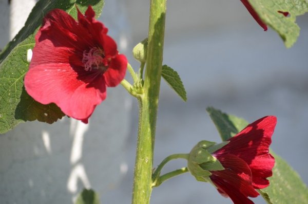 Фотовиставка: Сергій Олешкевич