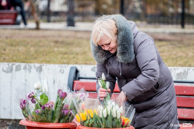 За день до свята: Луцьк накрила тюльпанова лихоманка. ФОТО