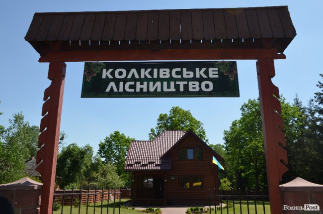 Експрес-подорож областю: на Волині – лісівники з усієї країни. ФОТО