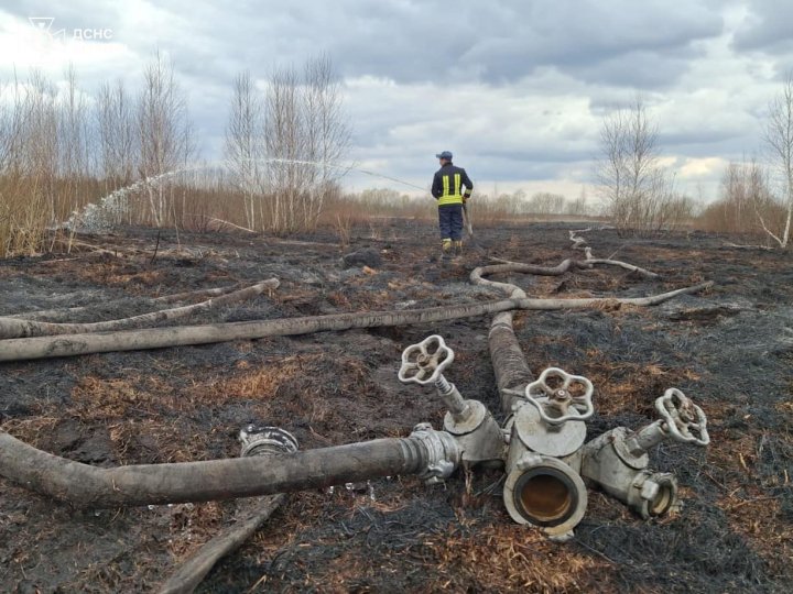 На Волині горів торфяник. ФОТО