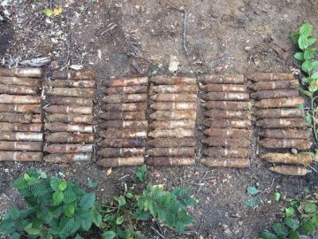 Селяни знайшли на Волині чималий арсенал часів Другої світової