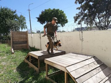 Фото змагань військових кінологів у Луцьку