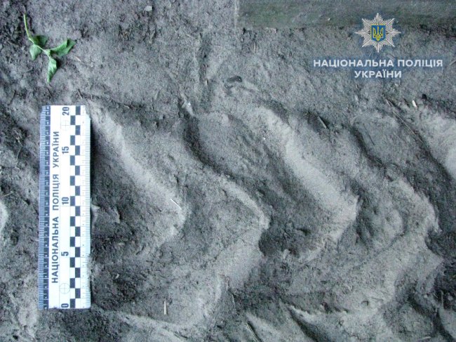 На Рівненщині п'яний син на смерть переїхав трактором матір