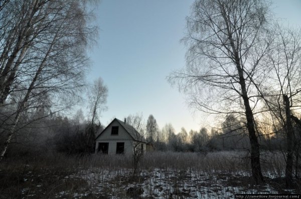 Перша точка. Дачне селище Буряківка на ділянці занедбаної залізнодорожньої лінії Вільча-Янів. Ледве почало світати, я схопив дзеркалку і пішов фоткати присипану інеєм Зону ... 