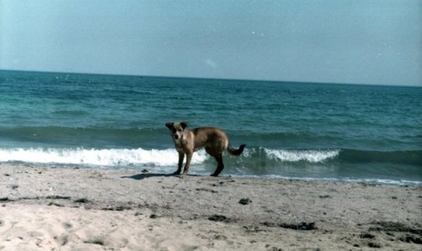 Фотовиставка Юлії Ткаченко