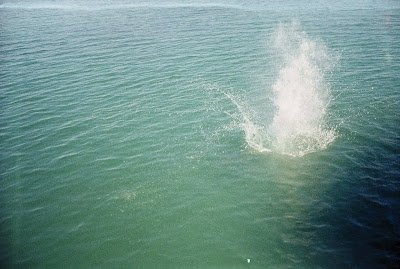 Фотовиставка Юлії Ткаченко