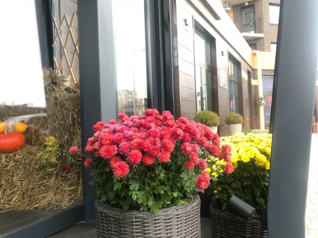 ЖК  «Яровиця» – територія комфорту для усієї сім’ї*