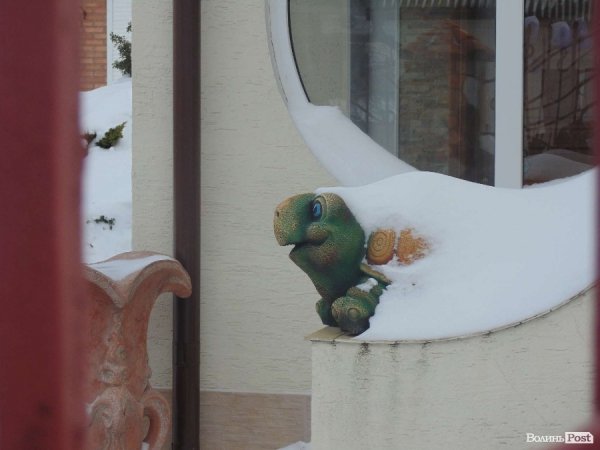 Волинські автомайданівці навідалися до керівників області з «подарунками». ФОТО. ВІДЕО