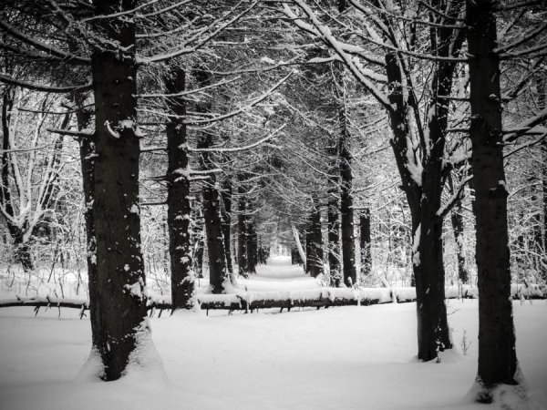 Фотовиставка Тараса Маркіна