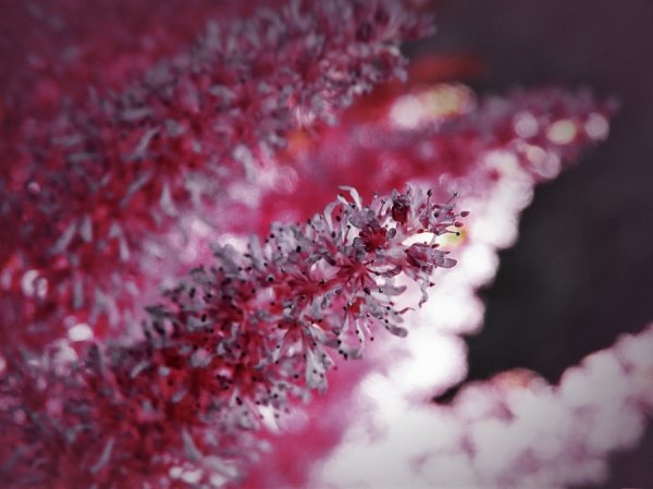 Фотовиставка Тараса Маркіна