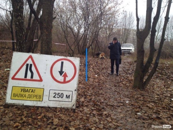 У Луцьку люди бунтують проти вирубки парку забудовником. ФОТО