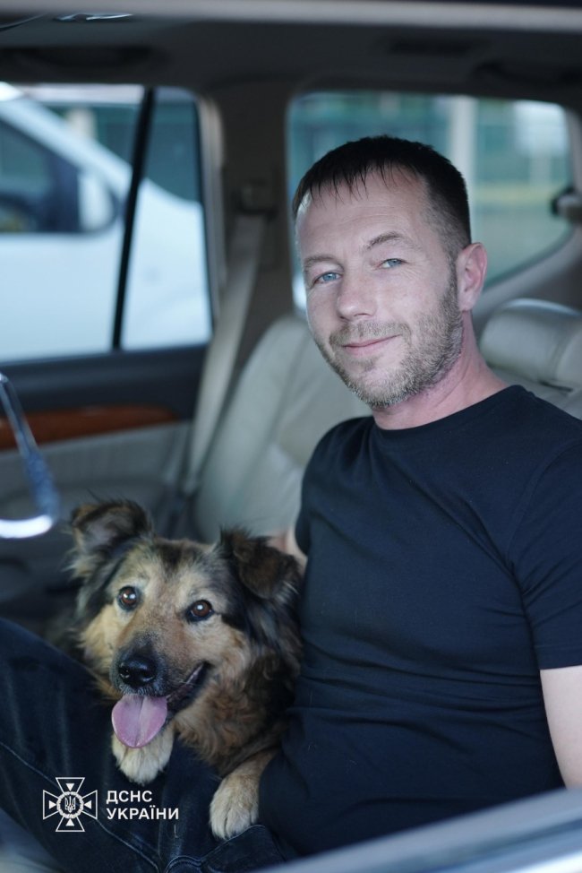 Джессі чекала серед руїн у Києві на господаря, який загинув від російського удару: зворушлива історія собаки та вірності