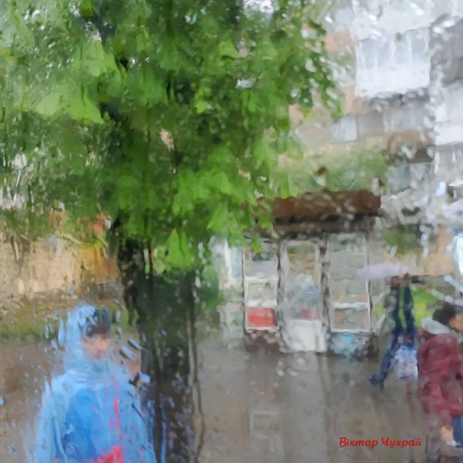 Луцький фотограф поділився «дощовими» світлинами