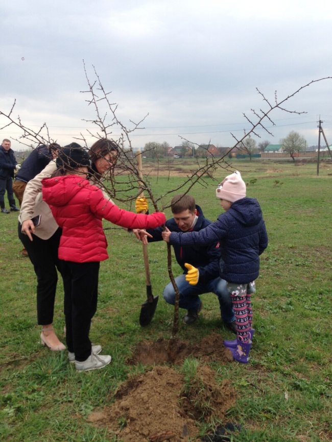 У Прилуцькому створили новий сквер, де висадили понад 600 саджанців