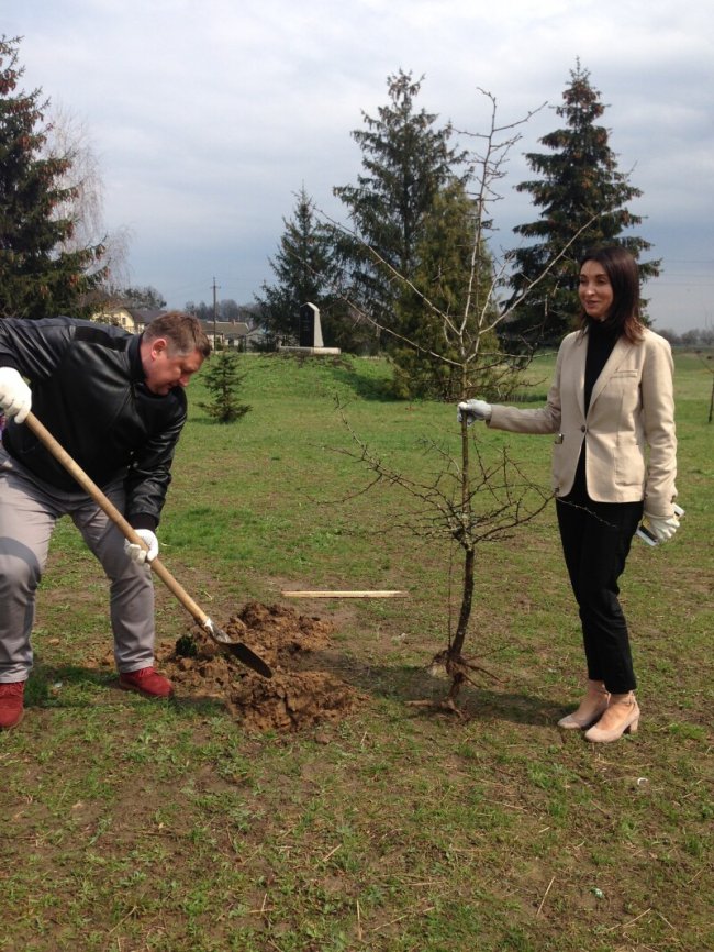 У Прилуцькому створили новий сквер, де висадили понад 600 саджанців